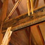 天井のカビ取りは要注意｜見落とされがちな原因と再発させない正しい対策【愛知常滑店】